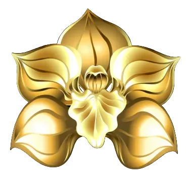 Black Orchid Design